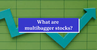 best multibagger stocks top multibagger
