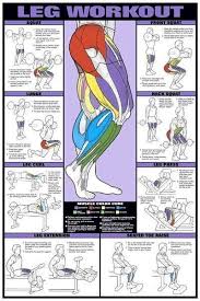 Buyamag Inc Provide Exercise Charts Bodybuilding Posters