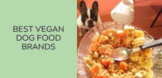 best vegan dog food brands wet dry