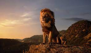 the lion king ultra hd wallpapers