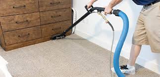 using bleach on carpet is risky mss