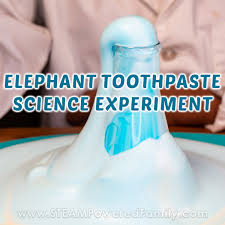 elephant toothpaste a clic foam