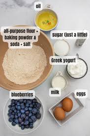 greek yogurt blueberry ins low