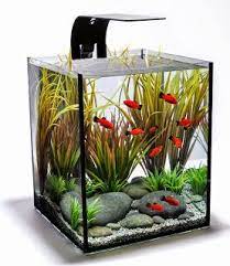 Rimless fish tanks make a beautiful addition to any home, office, or desktop. The Ultimate Guide To Modern Contemporary Fish Tanks With Big Style Spiffy Pet Products Small Fish Tanks Aquarium Fish Aquarium Design