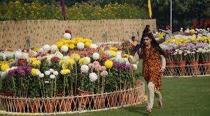 Terraced garden is one of the largest & beautiful garden with musical fountain in chandigarh. Terrace Garden Chandigarh Home Designs Inspiration