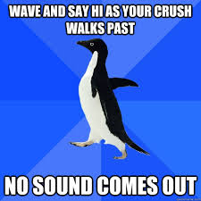 socially awkward penguin quickmeme