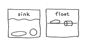 session 3 sink and float exemplar