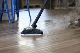 best steam mop for vinyl floors 2023
