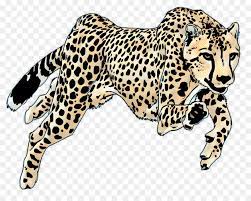 Download 4,699 panther drawing stock illustrations, vectors & clipart for free or amazingly low rates! Cat Drawing