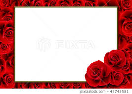 red rose frame stock ilration