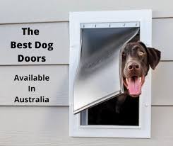6 Best Dog Door Options Australia 2023
