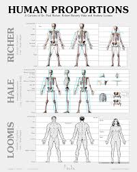 Human Figure Proportions Poster Richer Hale And Loomis