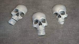 Skulls Wall Decoration 3d Model 3d