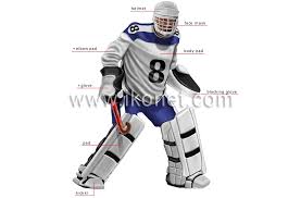 field hockey goalkeeper image