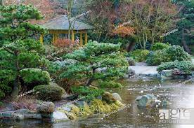The Momiji Japanese Gardens In Winter