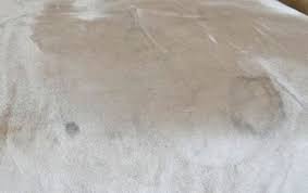cleaning water stains from couches