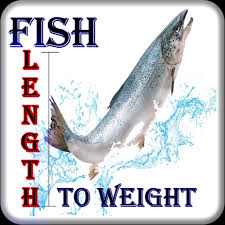 Fish Length To Weight Calculator All Mobile Za All Mobile Za