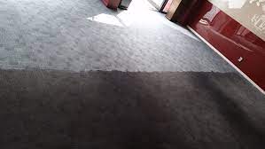 carpet cleaners in auckland