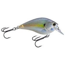 Lucky Craft Square Bill Crankbait Products Balsa Wood