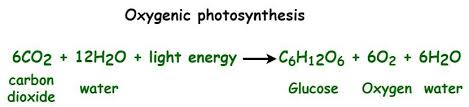 Photosynthesis Formula Properties