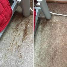 affordable carpet stain remover