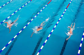 freestyle swimming 10 tips to improve