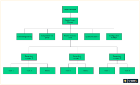 Project Management Organizational Structure The Project