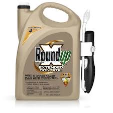 Lawn weed killer for use on northern grasses, including kentucky bluegrass, perennial ryegrass, fescue, bermudagrass, buffalograss, and zoysiagrass. Roundup 1 33 Gal Ready To Use Extended Control Weed And Grass Killer Plus Weed Preventer Comfort Wand 5235010 The Home Depot
