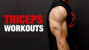 tricep workouts best exercises for