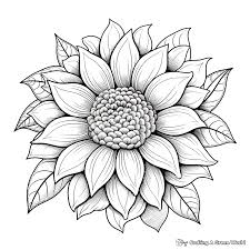black white flowers coloring pages