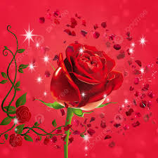 999 beautiful rose images