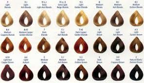 Siaras Hotspot Loreal Hair Color Chart