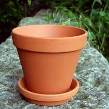 Best Outdoor Plant Pots For Garden
