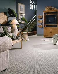 berber a great carpet for kids pets