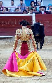 David Faldila (El Fandi). 3° corrida de abono / 3th bullfight 56 Feria de  Cali / 56 Cali Fair 2013 | VizzorImage