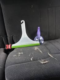 Car Use Squeegee To Remove Dog Hair