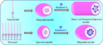 oligomer tyloxapol micelles