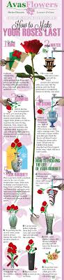 Top, middle and base, a solubilizer and distilled water. Things You Need To Know About Flowers 17 Infographics