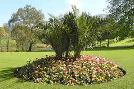 10 South Florida Landscaping Ideas