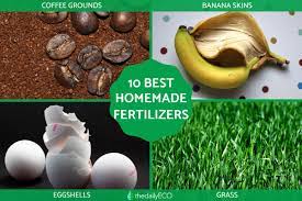 10 best homemade organic fertilizers