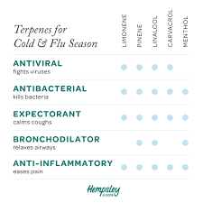 Terpenes For Cold Flu Season Hempsley