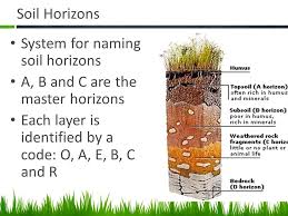 Agriscience And Technology I Introduction To Soil Science