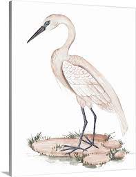 A White Heron I Wall Art Canvas Prints