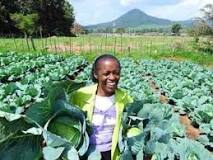 Image result for Agribusinesses In Kenya