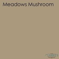 Fleetwood Meadows Mushroom Colour Matt