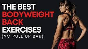 5 best bodyweight back exercises no