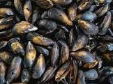 best darned mussels you ever had