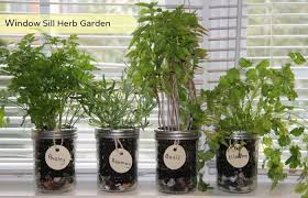 How To Make Your Own Window Herb Garden