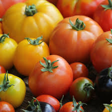 best fertilizer for tomatoes flower