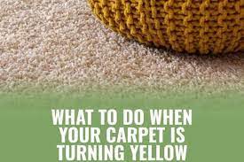 carpet turning yellow after cleaning